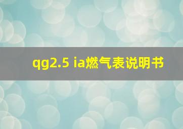 qg2.5 ia燃气表说明书